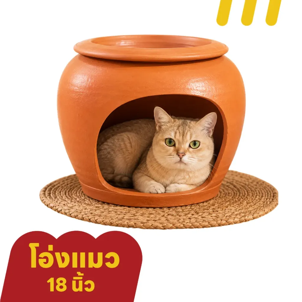 โอ่งแมว บ้านดินเผา