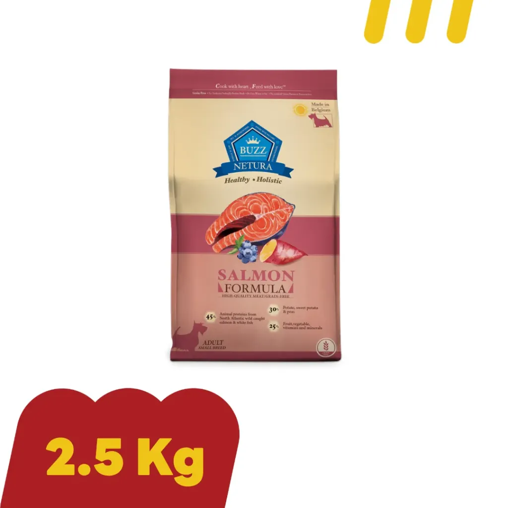 Buzz Holistice 2.5Kg (ชมพู) สำหรับสุนัขโตพันเล็ก สูตรปลาแซลมอน
