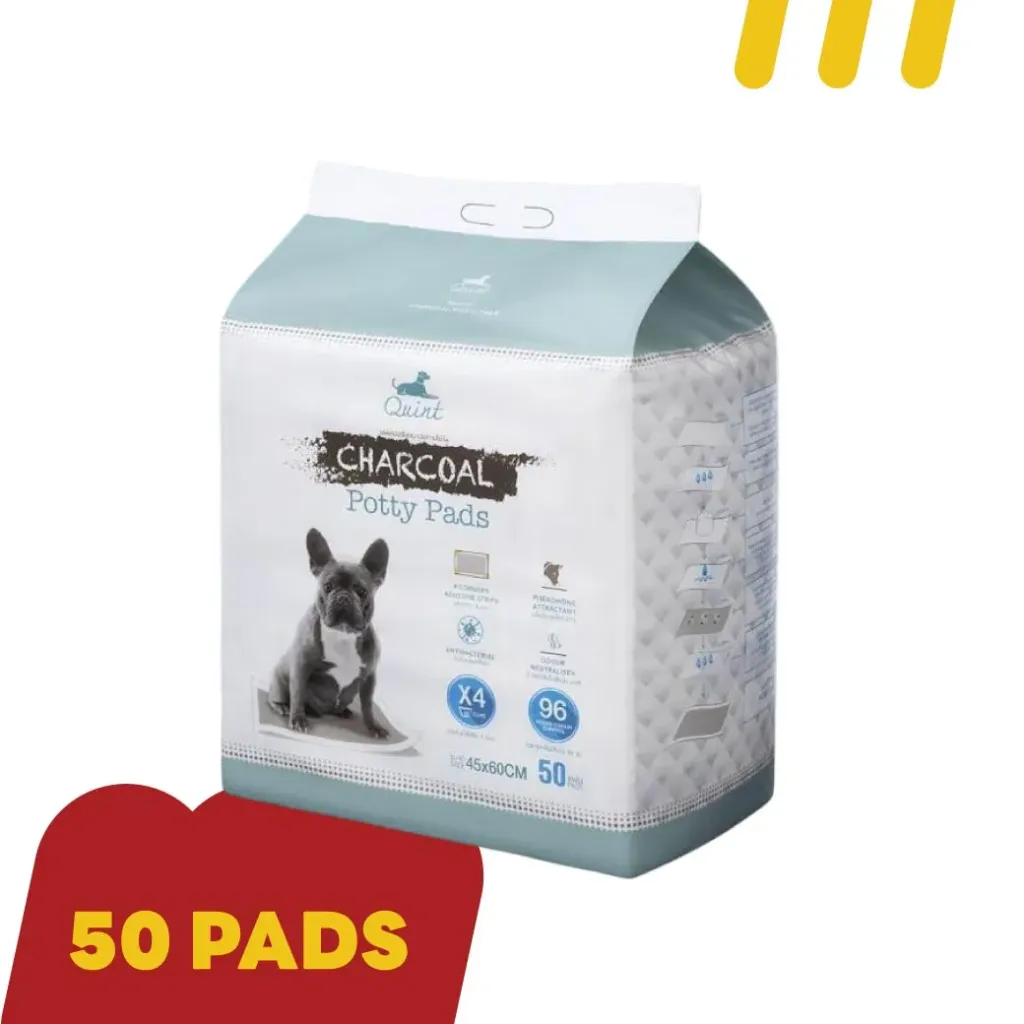 [QD002] Quint 45x60cm (M) 50 แผ่น