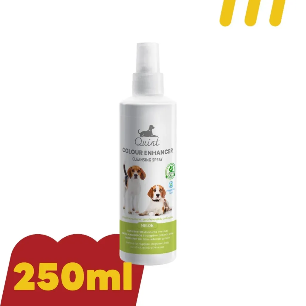 Quint Cleansing Spray 250ml. กลิ่นเมลอน สำหรับอาบน้ำสุนัขและแมว