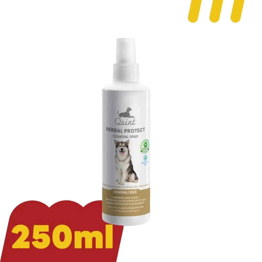 [QC005] Quint Cleansing Spray 250ml. ""กลิ่นข้าวหอมมะลิ"" สเปร์อาบน้ำ สำหรับสุนัขและแมว