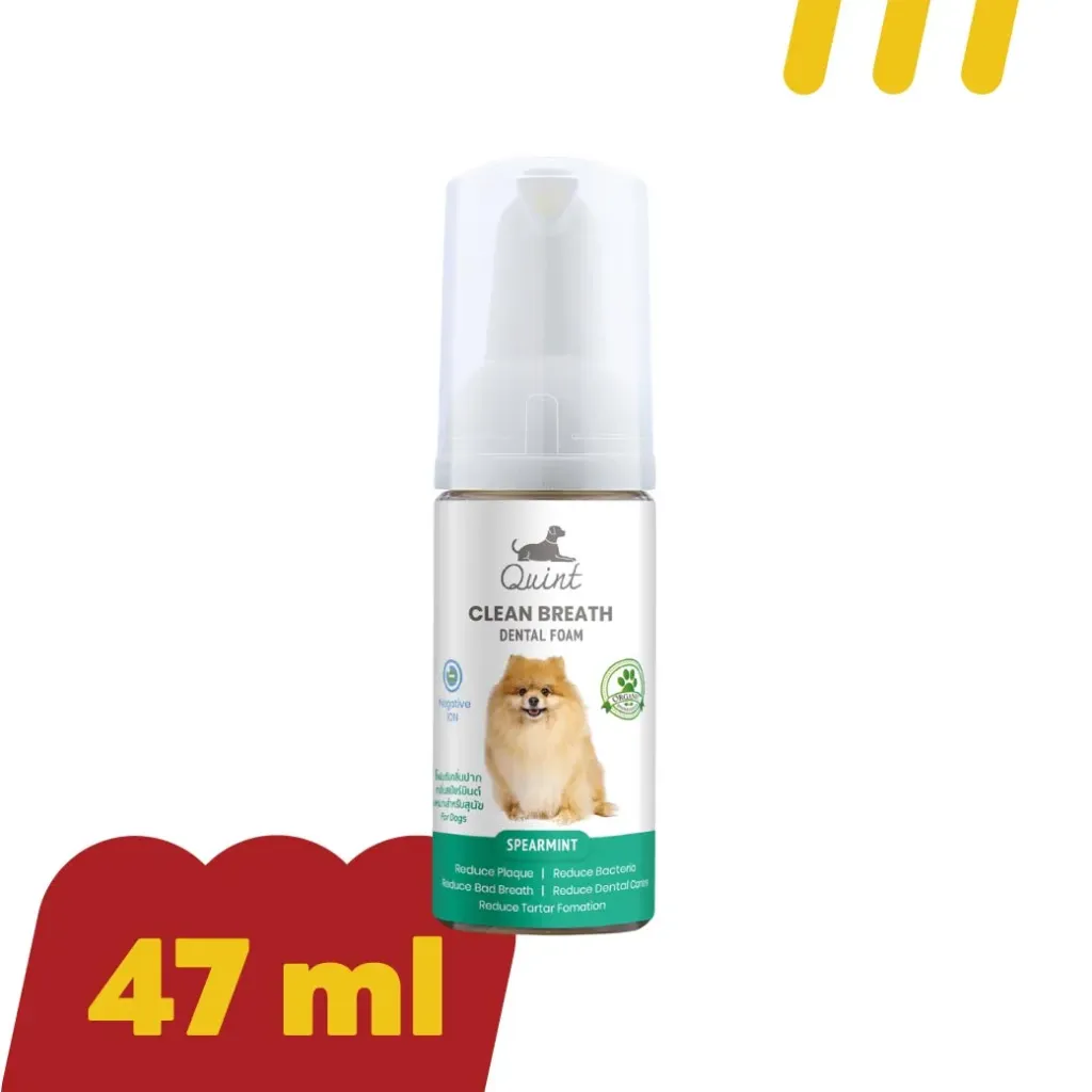 [QD014] Quint Dental Foam 47ml.  ยาสีฟัน เหมาะสำหรับสุนัข