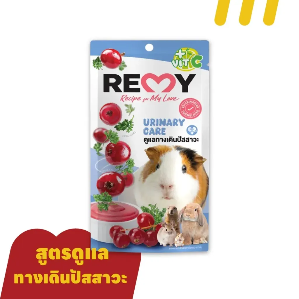 Remy 6gx3 (ฟ้า) อาหารสัตว์ฟันแทะ สูตรแคนเบอร์รี่