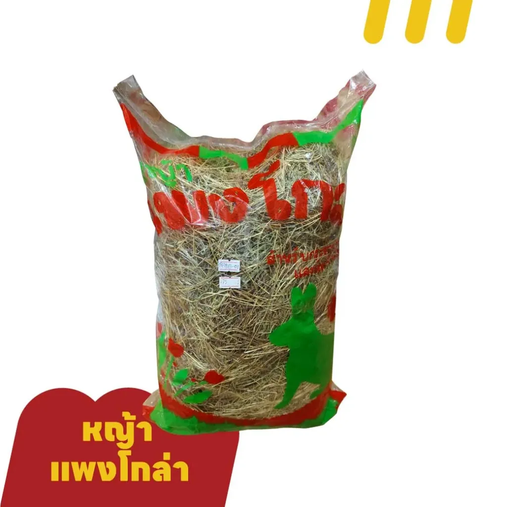หญ้าแพงโกล่า สำหรับกระต่ายและแก๊สบี้