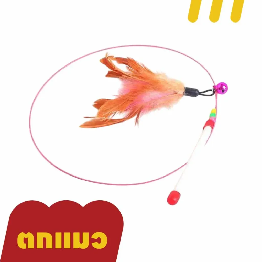 [11-5101-00003] ตกแมว